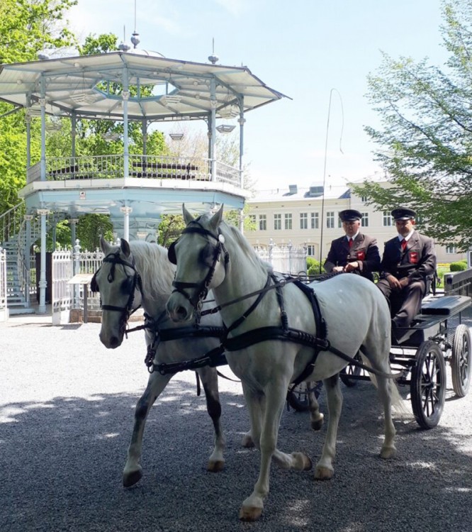 Turistička agencija LIRA TRAVEL